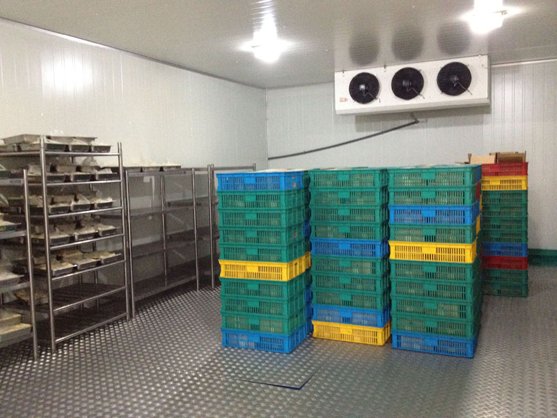 Sri Melur Jaya Foods Going behind the scenes.